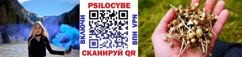 Галлюциногенные грибы мицелий Новоалтайск