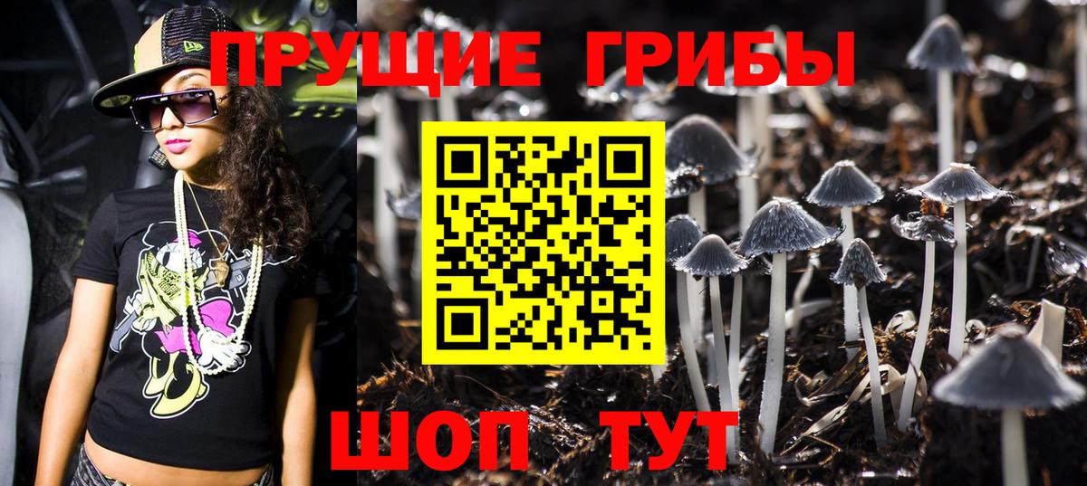 Новоалтайск  Псилоцибиновые грибы Cubensis  Галлюциногенные грибы MAGIC MUSHROOMS  Вход с VPN 