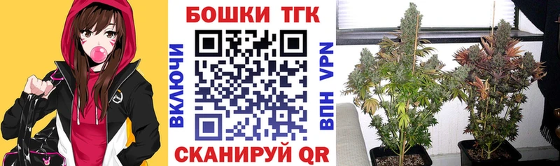 Шишки марихуана планчик  наркотики  Новоалтайск 
